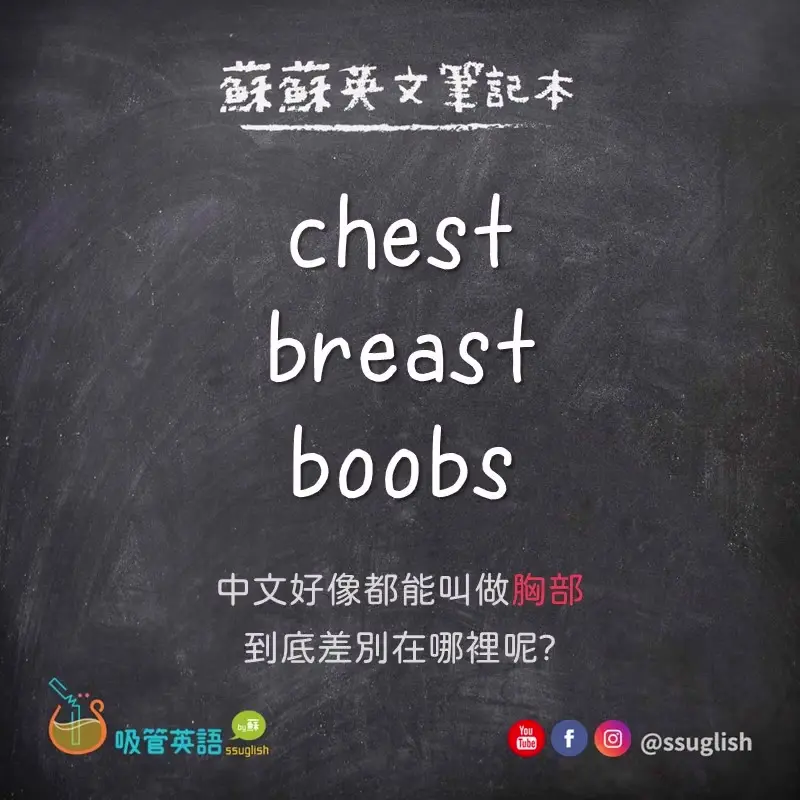 chest vs breast vs boobs 差別｜吸管英語